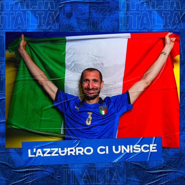 了顽强的斗 了顽强的斗