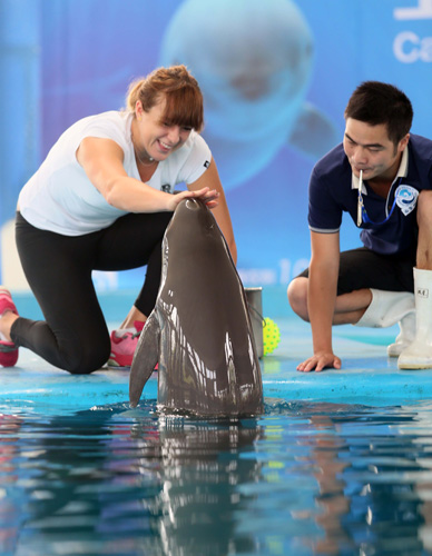 双语字幕 双语字幕