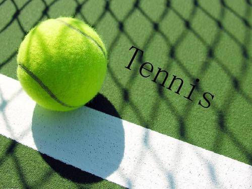 与观众行为 与观众行为